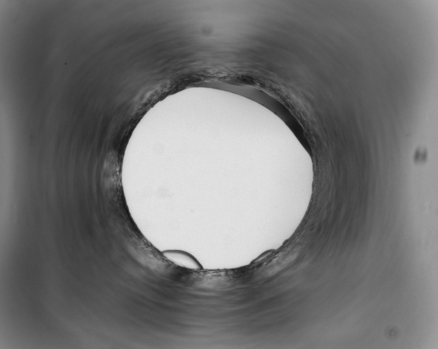 X0000099460384200806061135