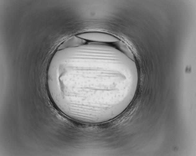 X0000099460385200806061134