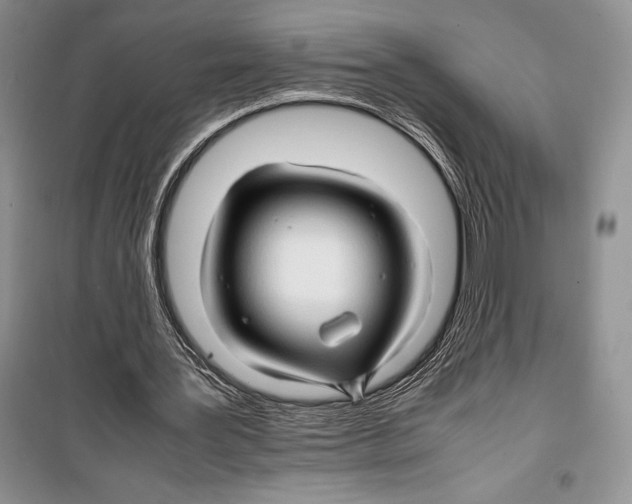 X0000099460387200806061134