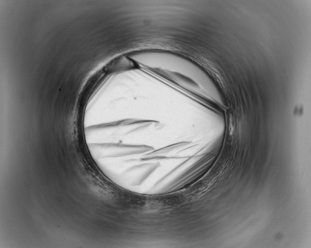 X0000099460388200806061134