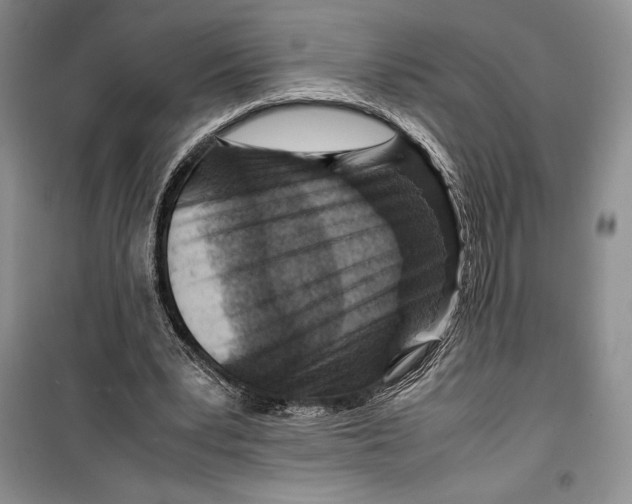 X0000099460391200806061134