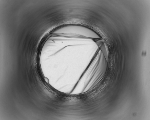 X0000099460392200806061134