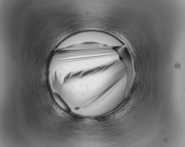 X0000099460393200806061134