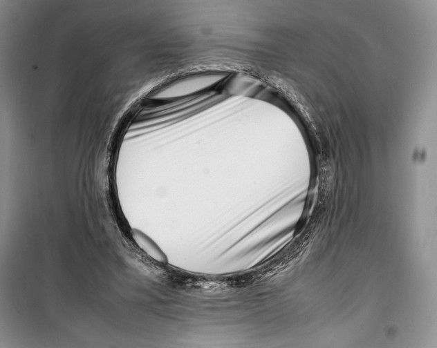 X0000099460395200806061134