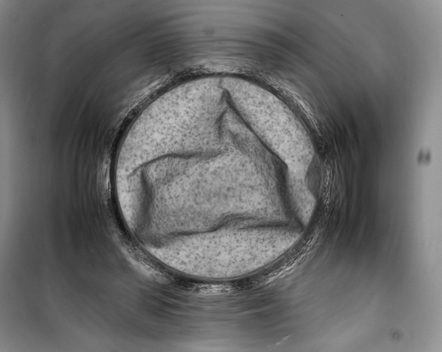 X0000099460398200806061134