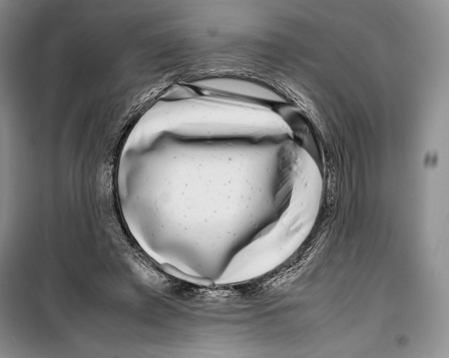 X0000099460401200806061134