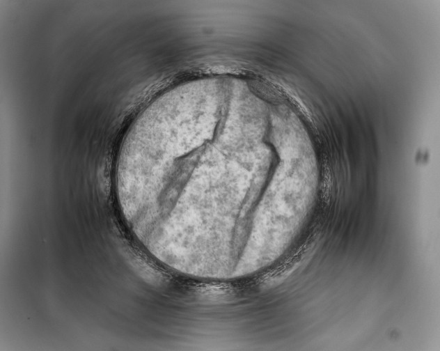 X0000099460402200806061134