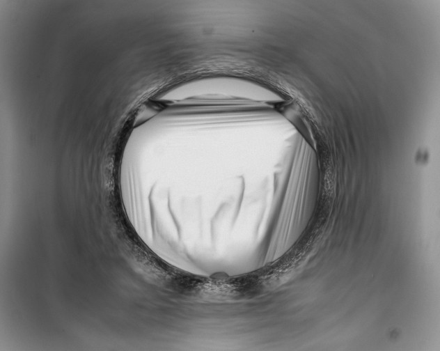 X0000099460403200806061134