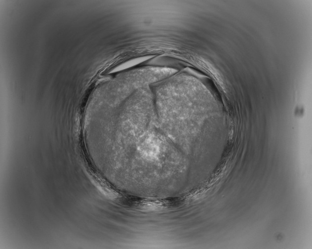 X0000099460405200806061134