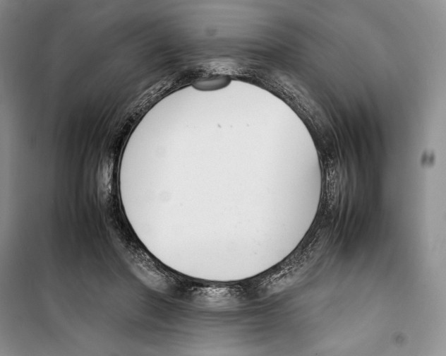 X0000099460406200806061134