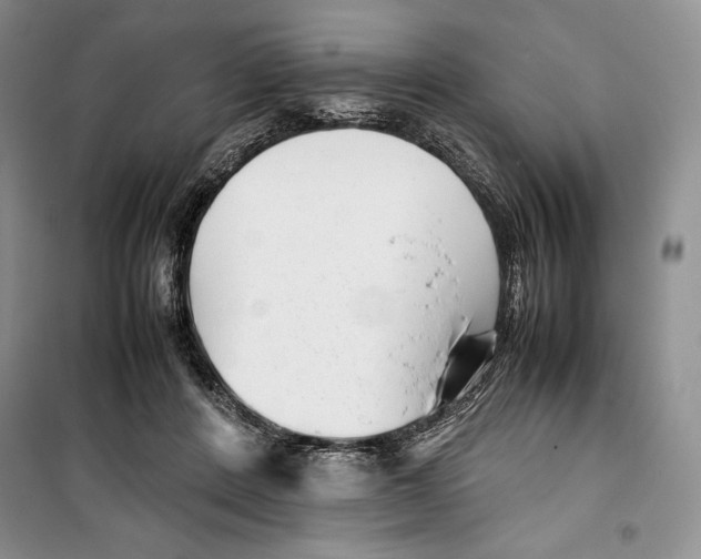 X0000099460408200806061134