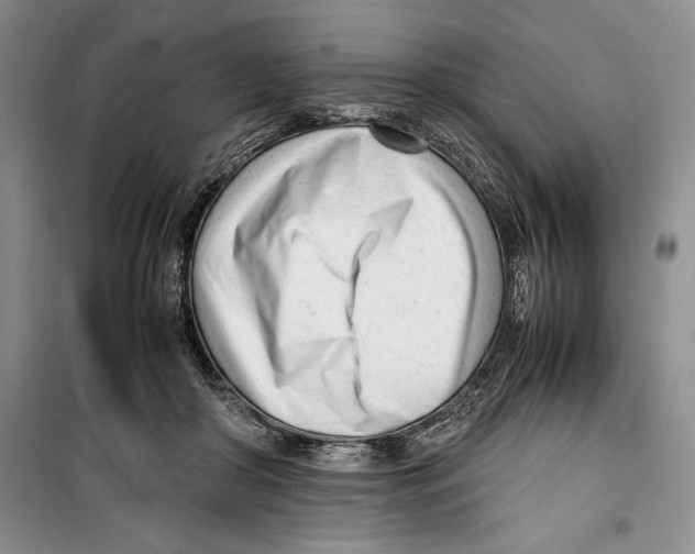 X0000099460410200806061134