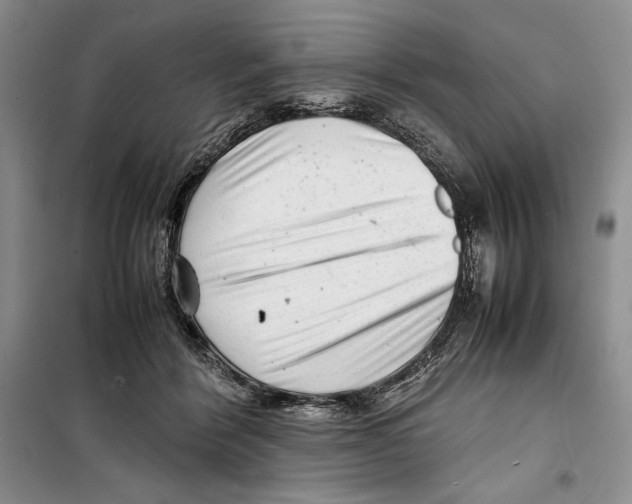 X0000099460412200806061134