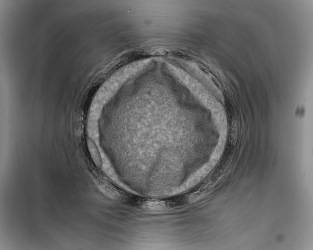 X0000099460413200806061134