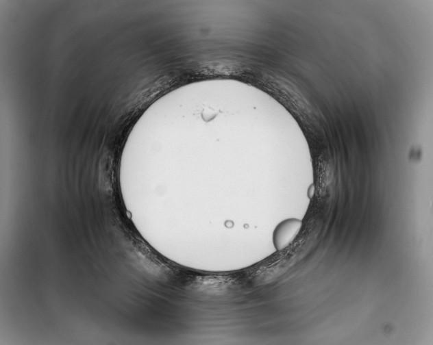 X0000099460414200806061134