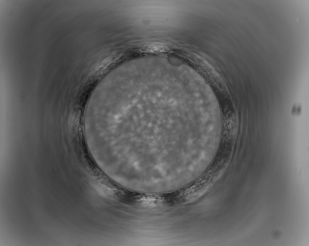 X0000099460415200806061134