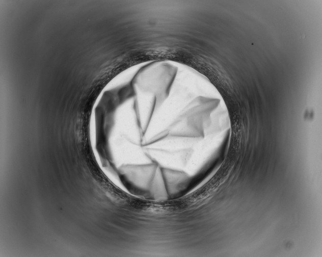 X0000099460416200806061134