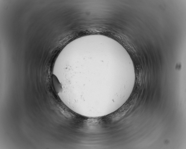 X0000099460418200806061134