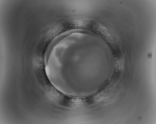 X0000099460419200806061134