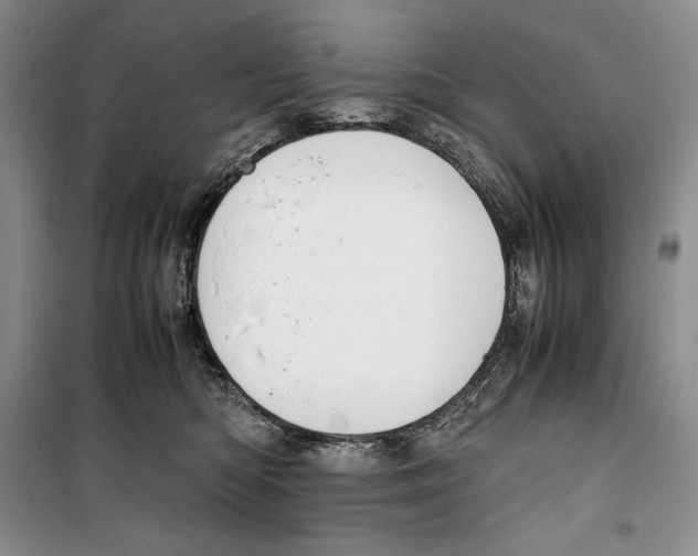 X0000099460422200806061133