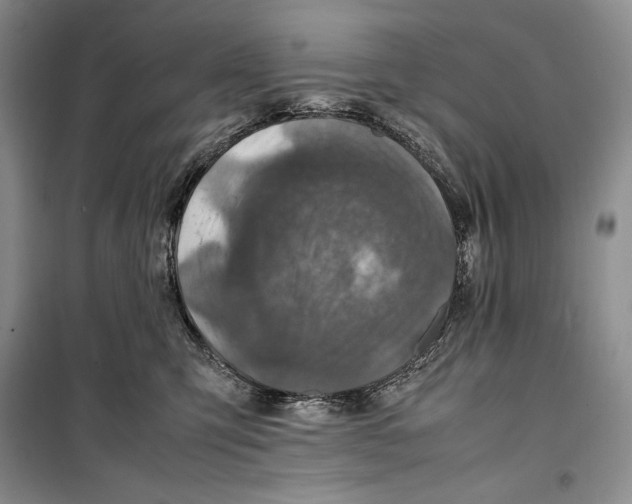 X0000099460423200806061133