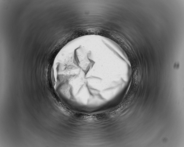 X0000099460424200806061133