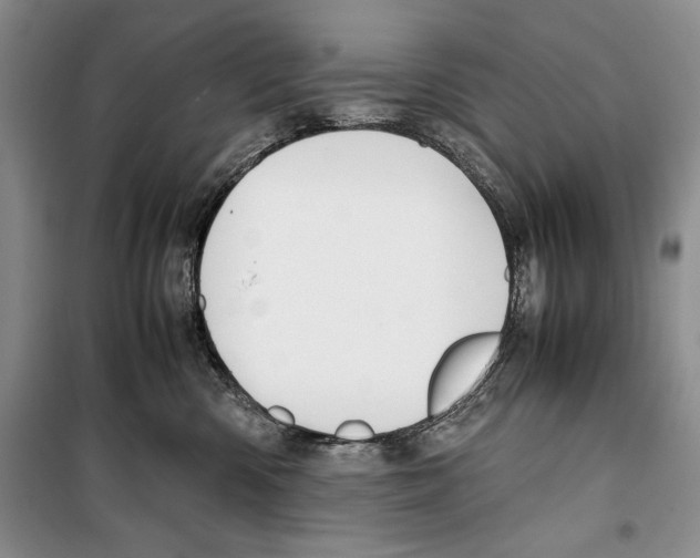 X0000099460426200806061133