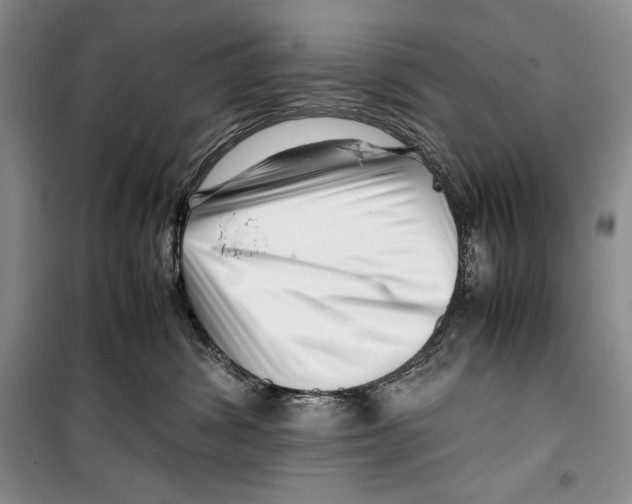 X0000099460428200806061133