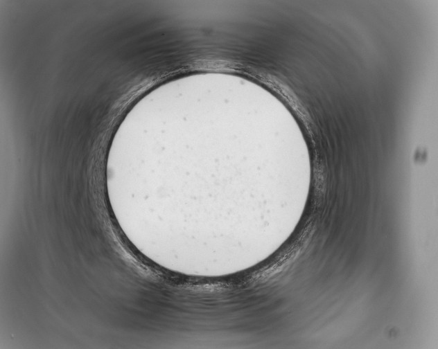 X0000099460433200806061133