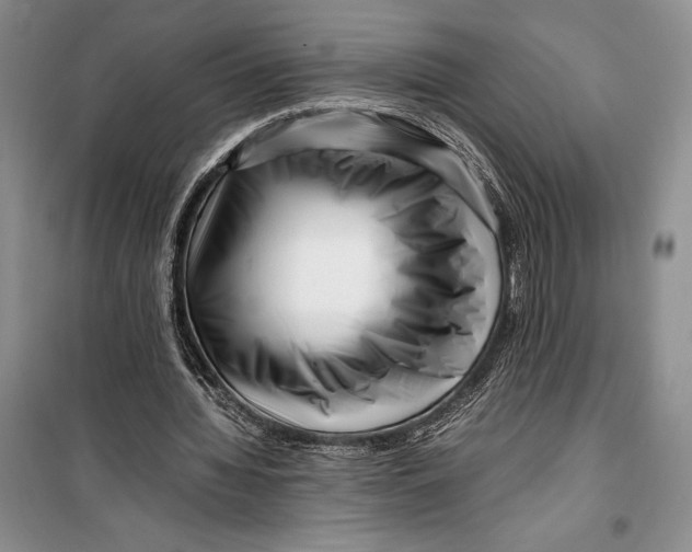 X0000099460436200806061133