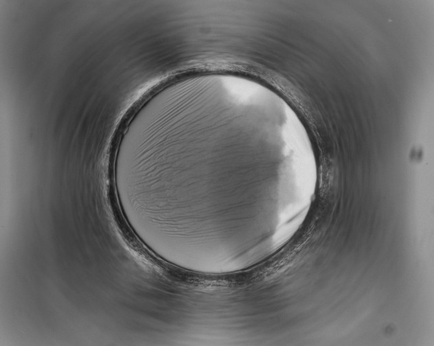 X0000099460438200806061133