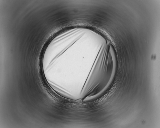 X0000099460439200806061133