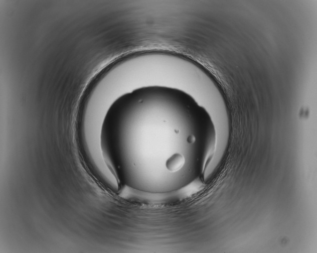 X0000099460440200806061133