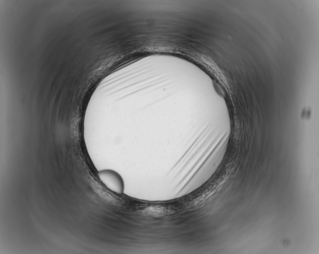 X0000099460441200806061133