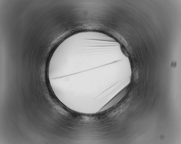 X0000099460442200806061133