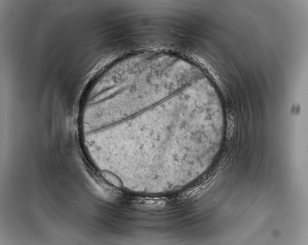 X0000099460443200806061133