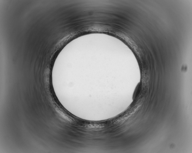 X0000099460445200806061133