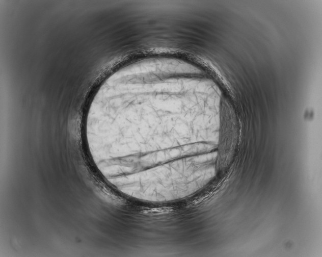 X0000099460447200806061133