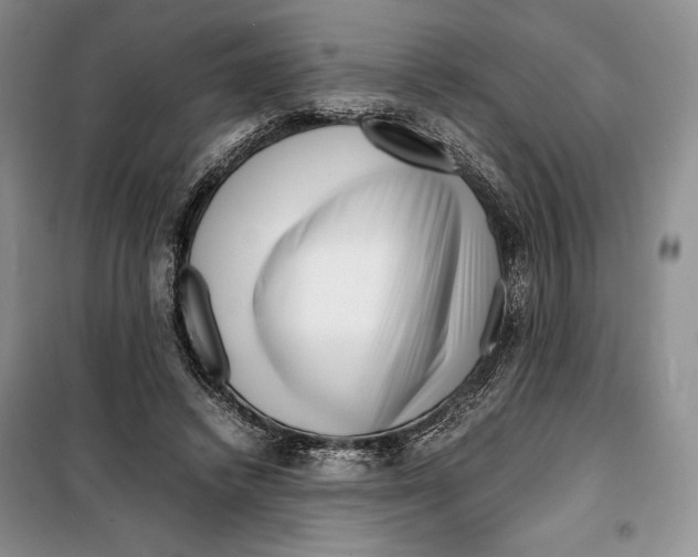 X0000099460448200806061133