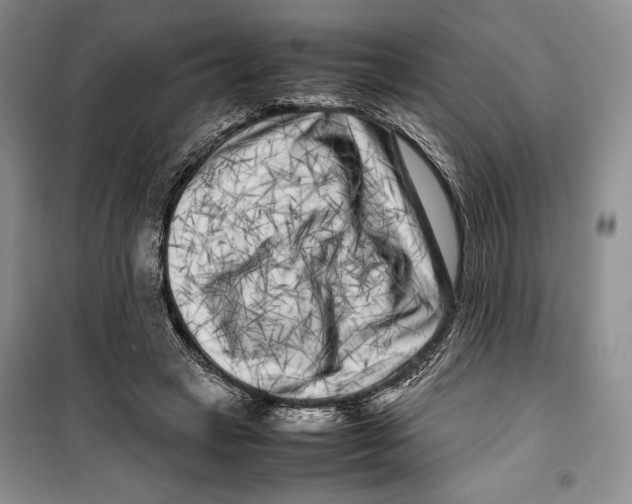 X0000099460449200806061133