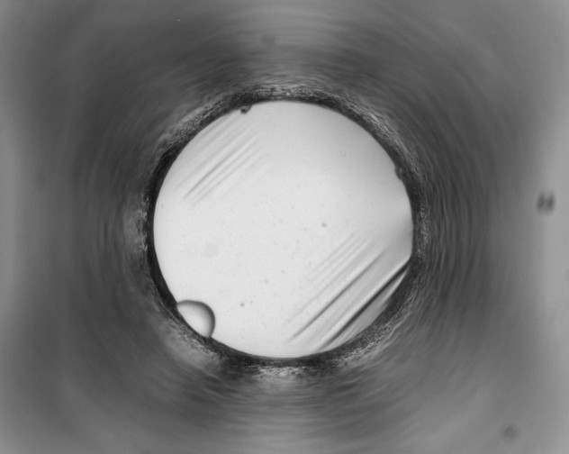 X0000099460450200806061133