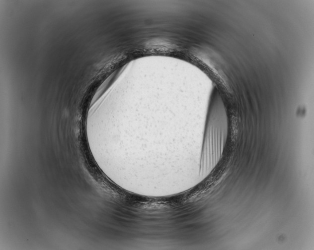 X0000099460451200806061133