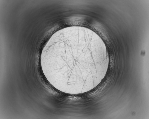 X0000099460453200806061133