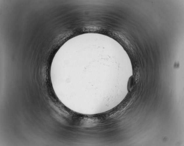 X0000099460455200806061133