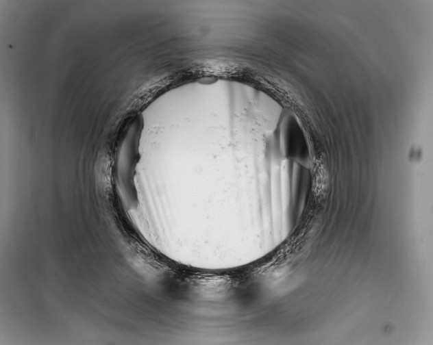 X0000099460456200806061133