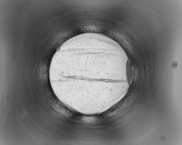 X0000099460457200806061133