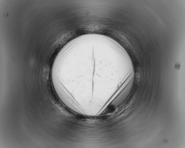 X0000099460458200806061133