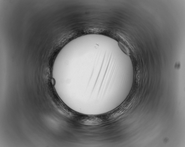 X0000099460459200806061133