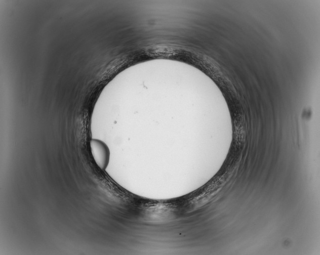 X0000099460460200806061133