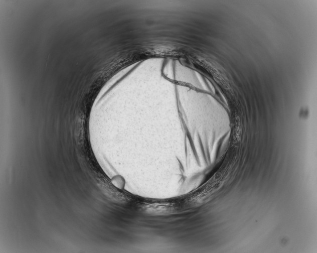 X0000099460461200806061133